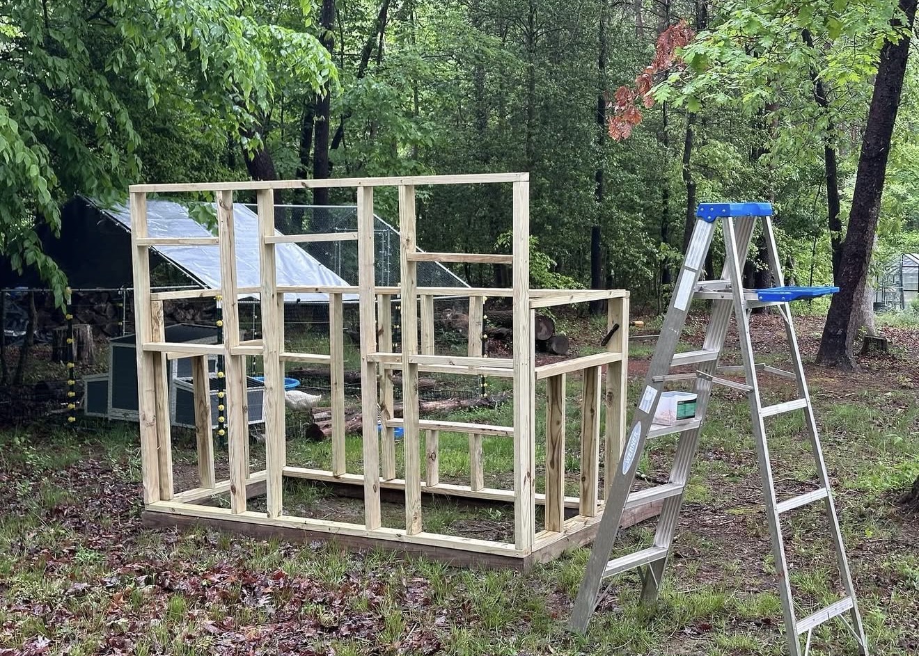 What I Wish I’d Learned in School: Lessons from a Homesteader Who Didn’t Enjoy the Classroom