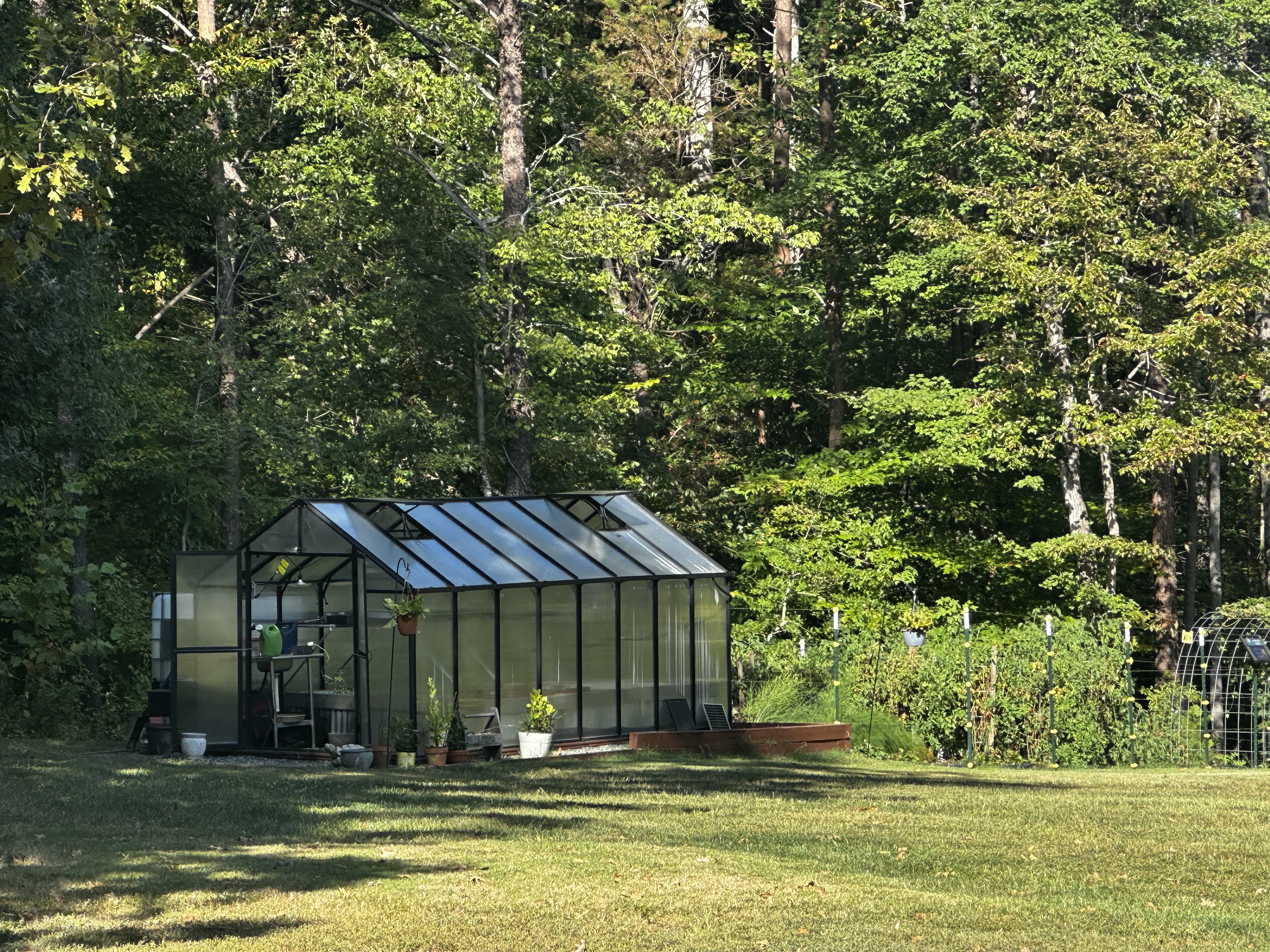 Life in Full Swing: A Busy Week on the Homestead
