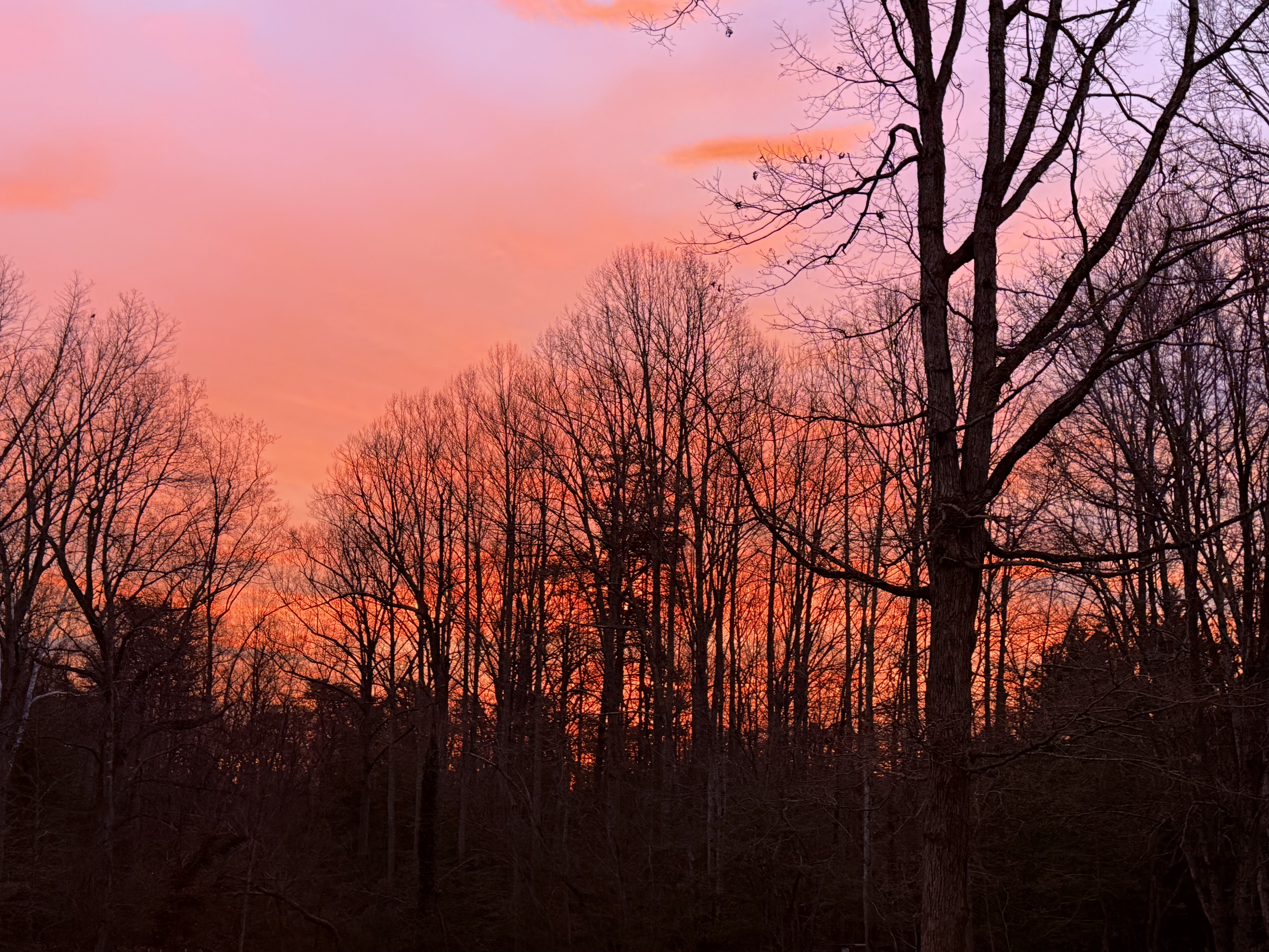 A Busy Weekend at J & J Homestead: Planning Today, Preparing for Tomorrow, and Building for the Future