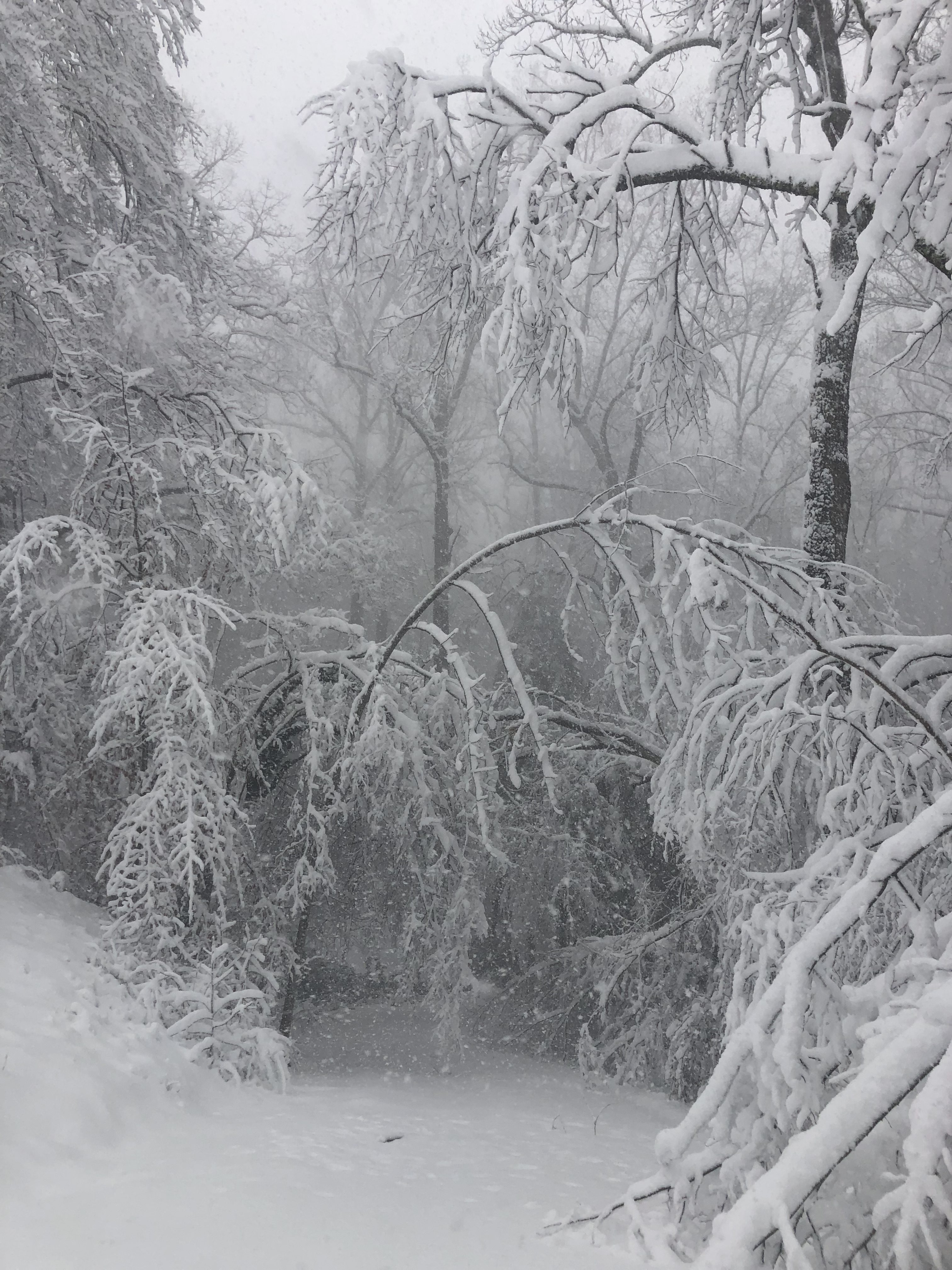 The Emotional & Mental Side of Winter Storm Prep on a Homestead