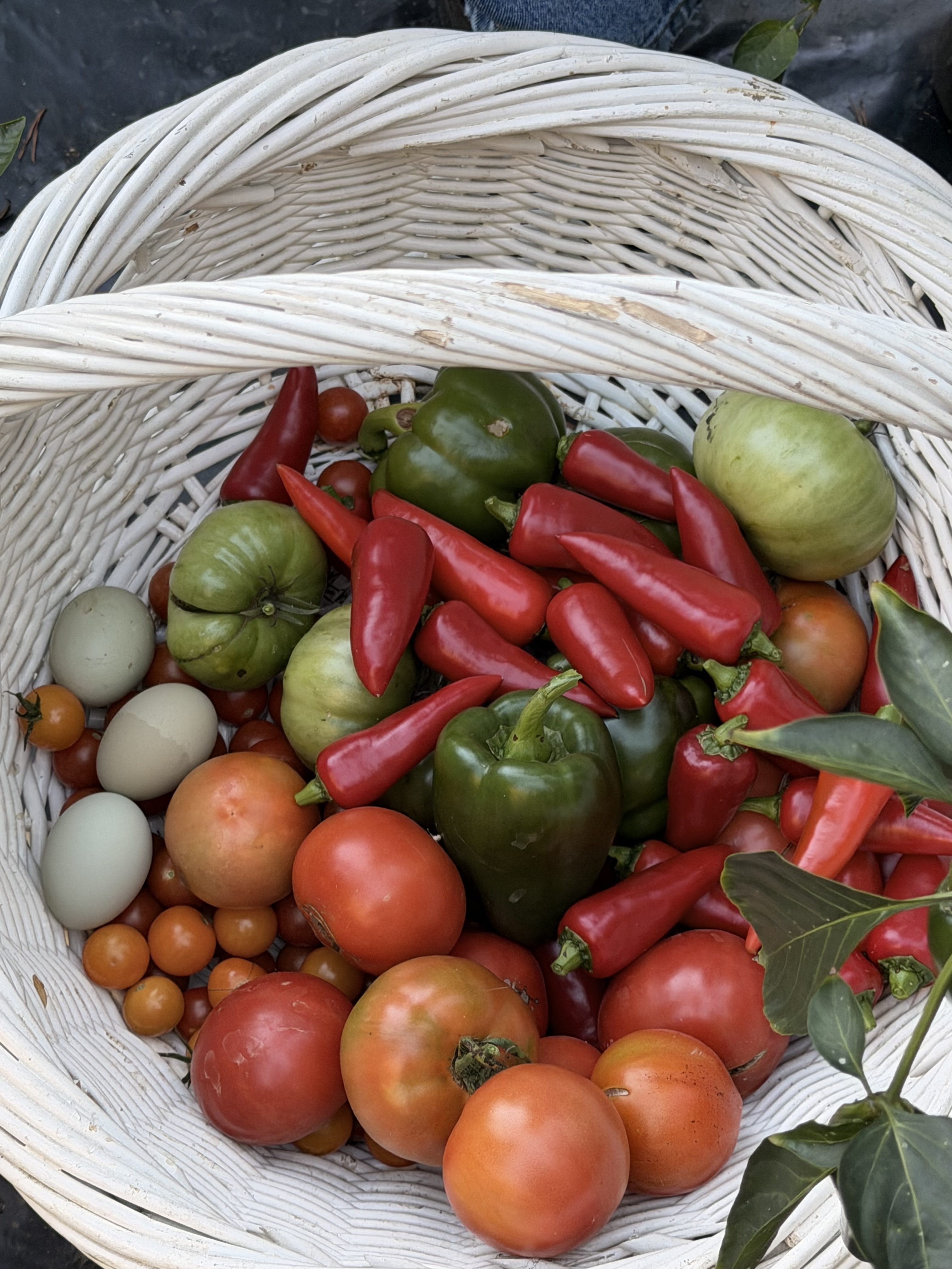 Planning the Farmstand Before the First Seed Is Planted