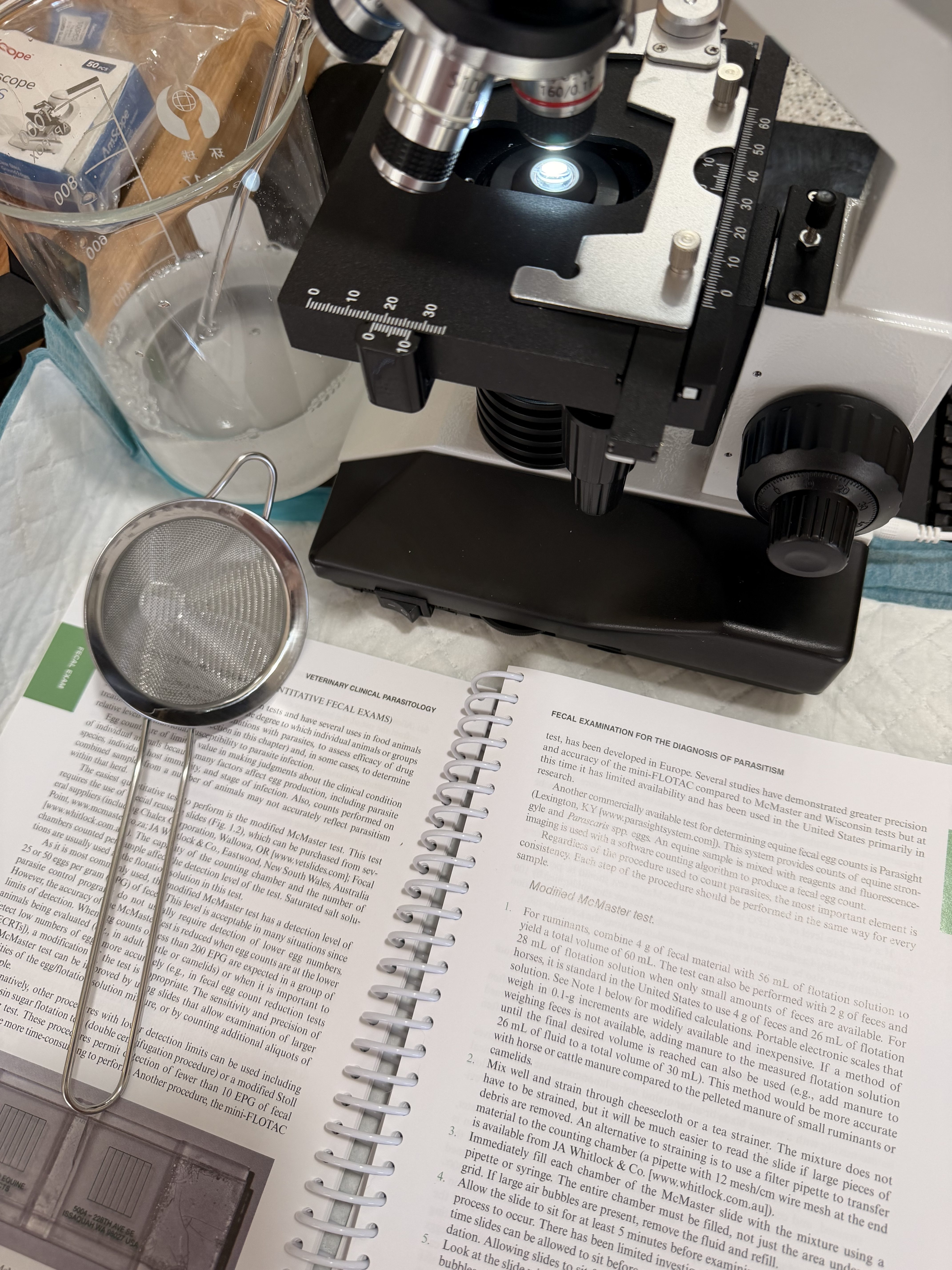 Learning to Read the Signs: How My Instincts and Science are Helping Me to Save One of My Chickens