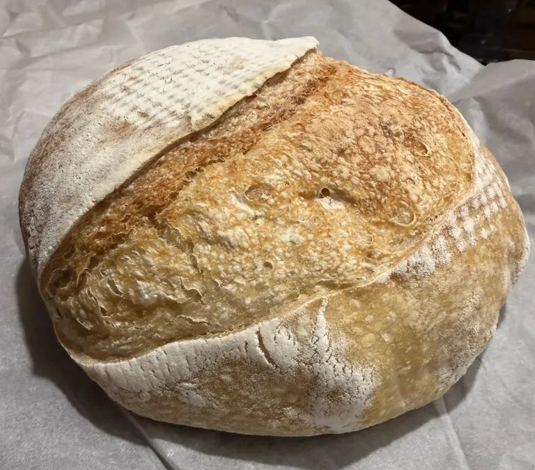 A Gifted Loaf of Sourdough & the Lesson in Gratitude Homesteading Taught Me