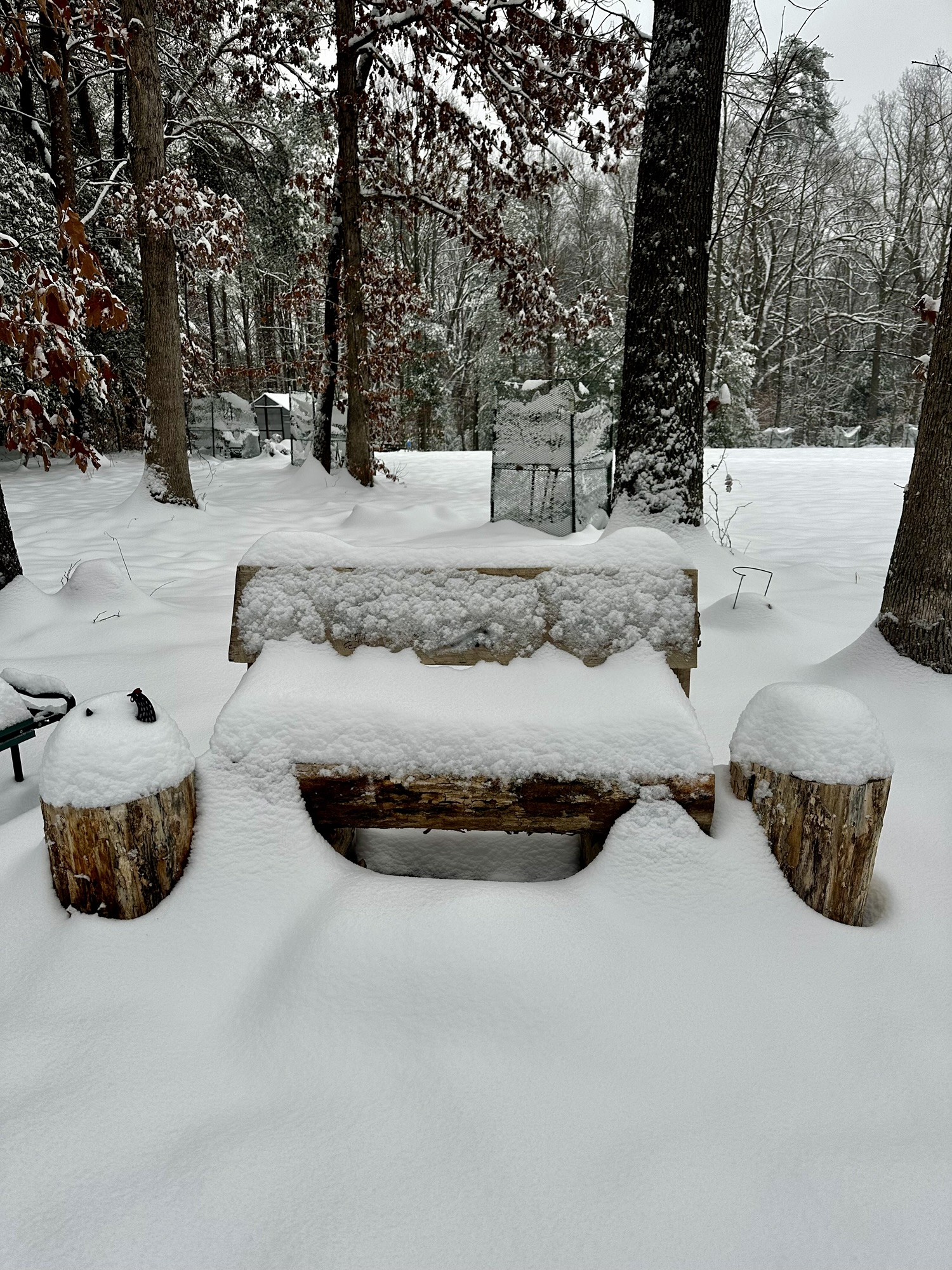 The 72-Hour Rule for Homesteads: Preparing Without the Panic