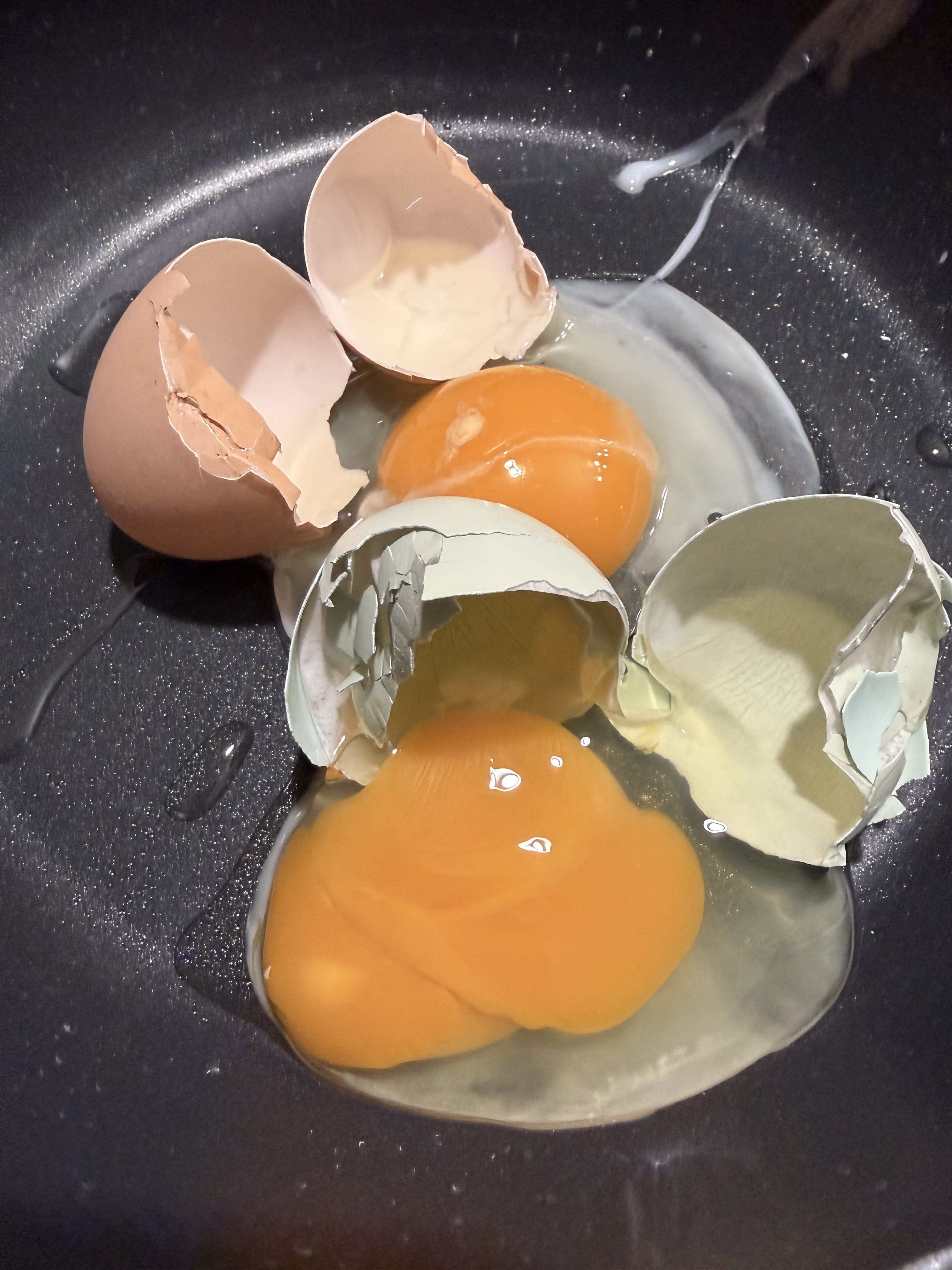 Can Chickens Eat Eggs? Why Feeding Back Cracked Eggs Is a Healthy Treat