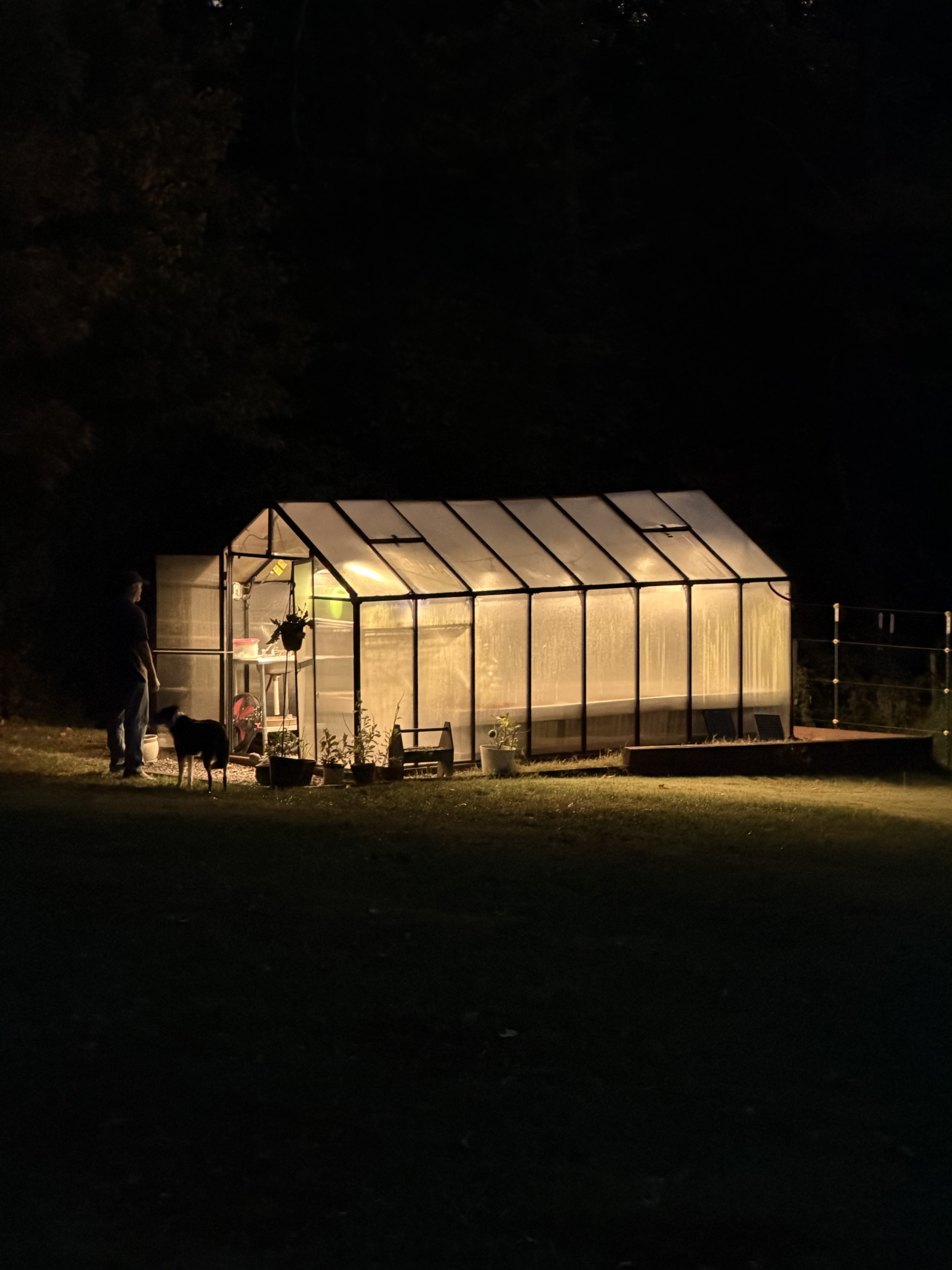 Before You Buy Your Greenhouse: Where Are You Going to Put It?