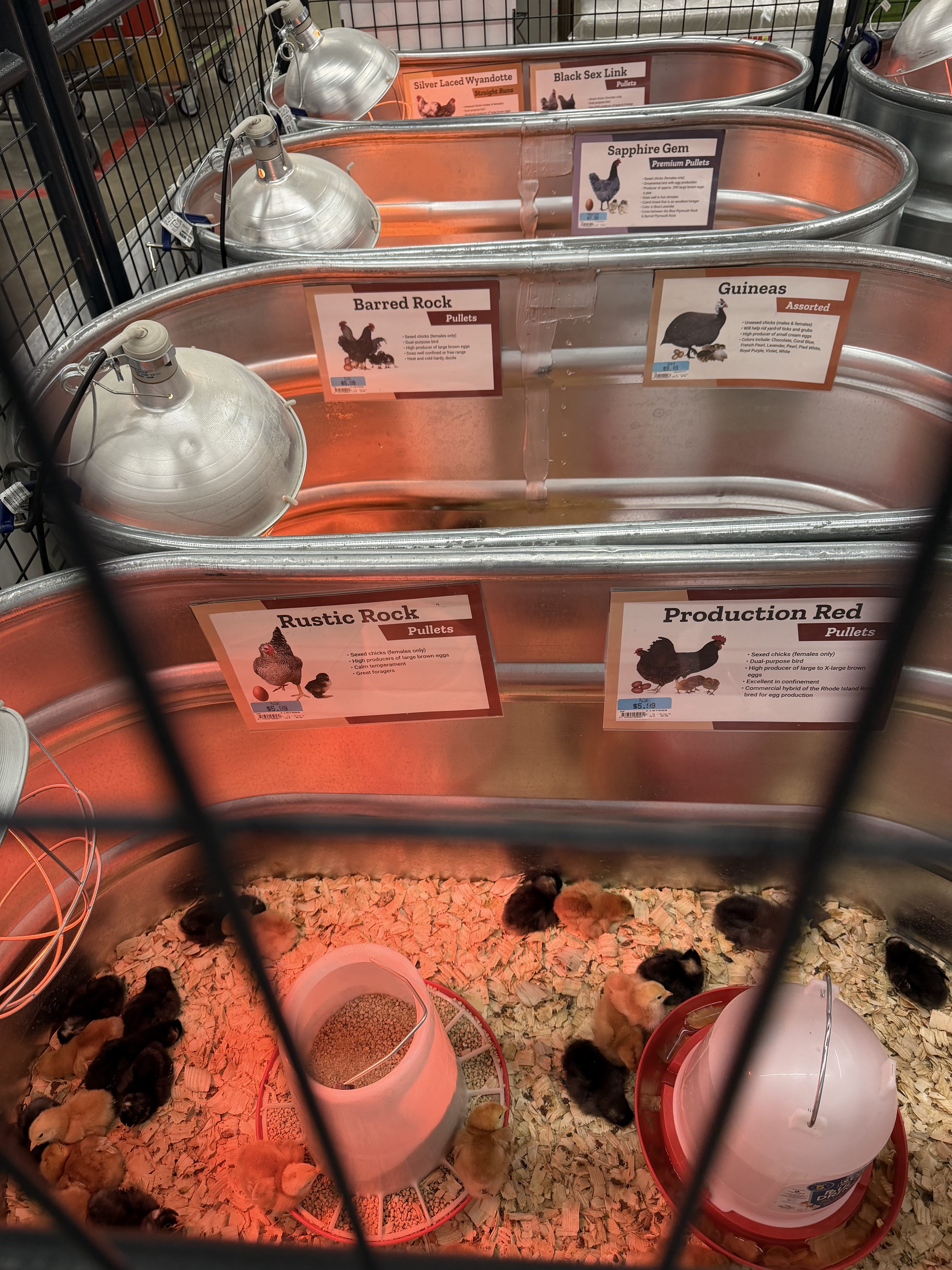 If I Could Go on a Shopping Spree Anywhere… It Would Be Tractor Supply Company