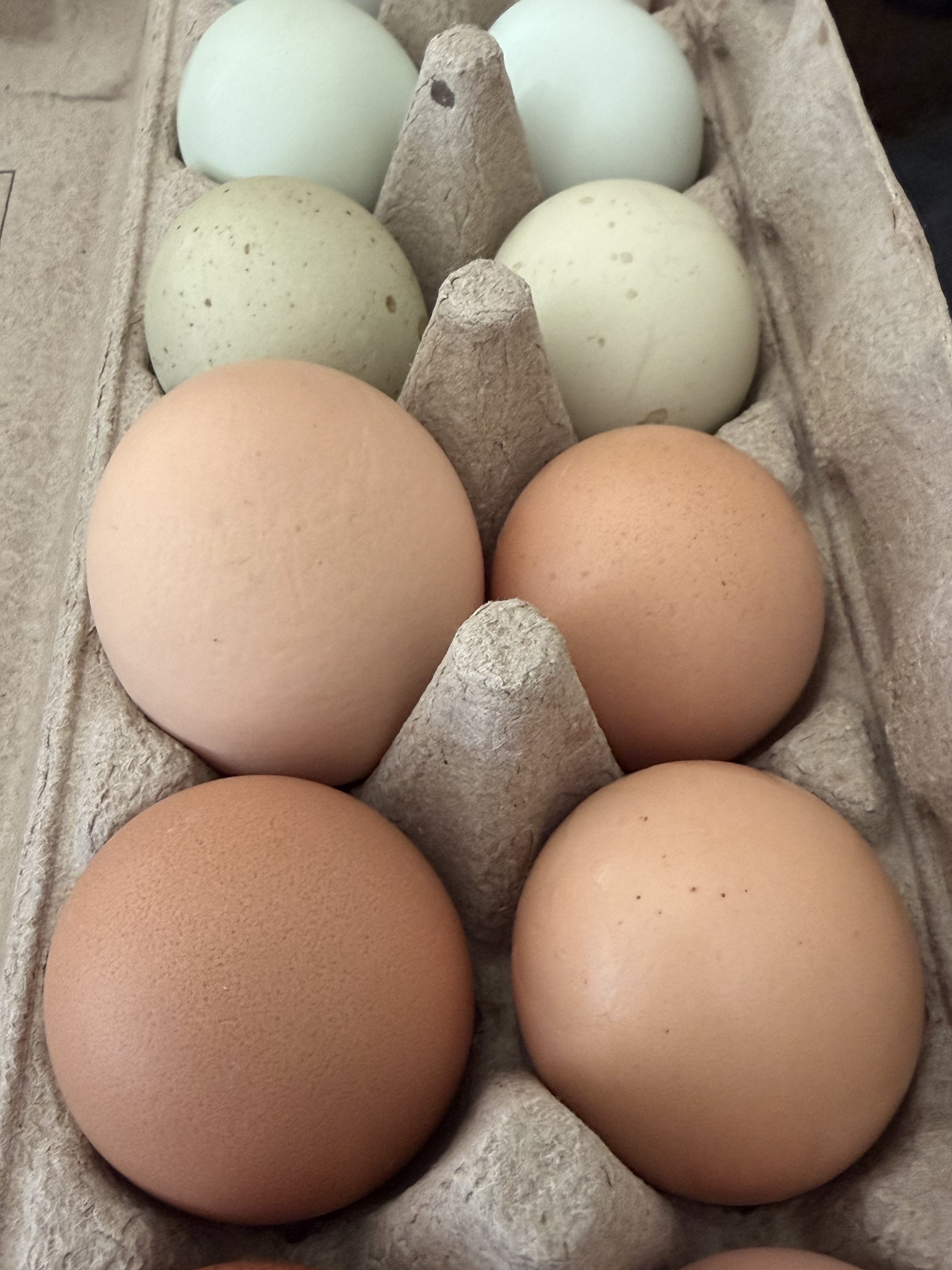 The Science of Baking: Eggs in Baking: Binding, Moisture, and Structure