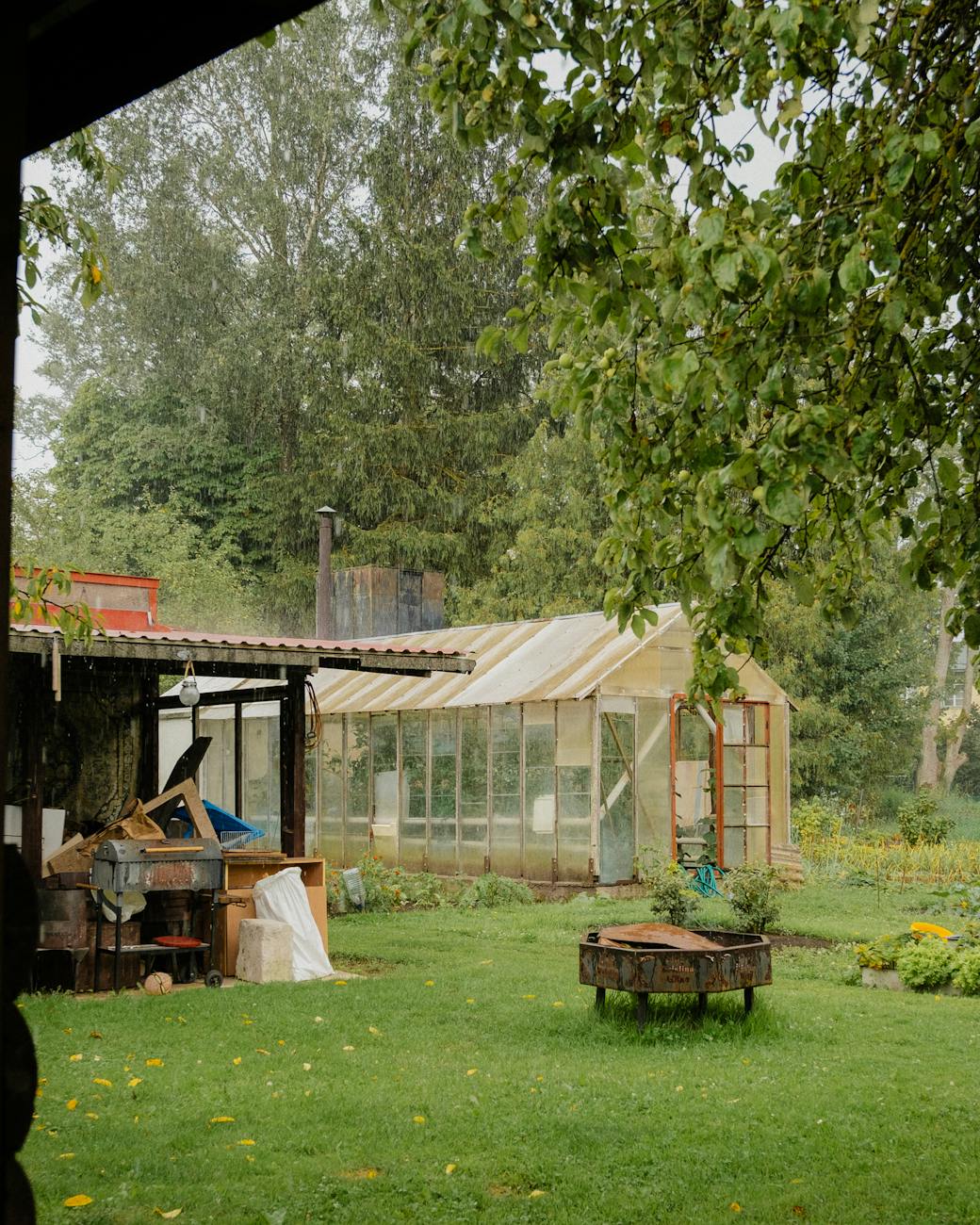 Harvesting Rainwater: A Step-by-Step Guide for Homesteaders
