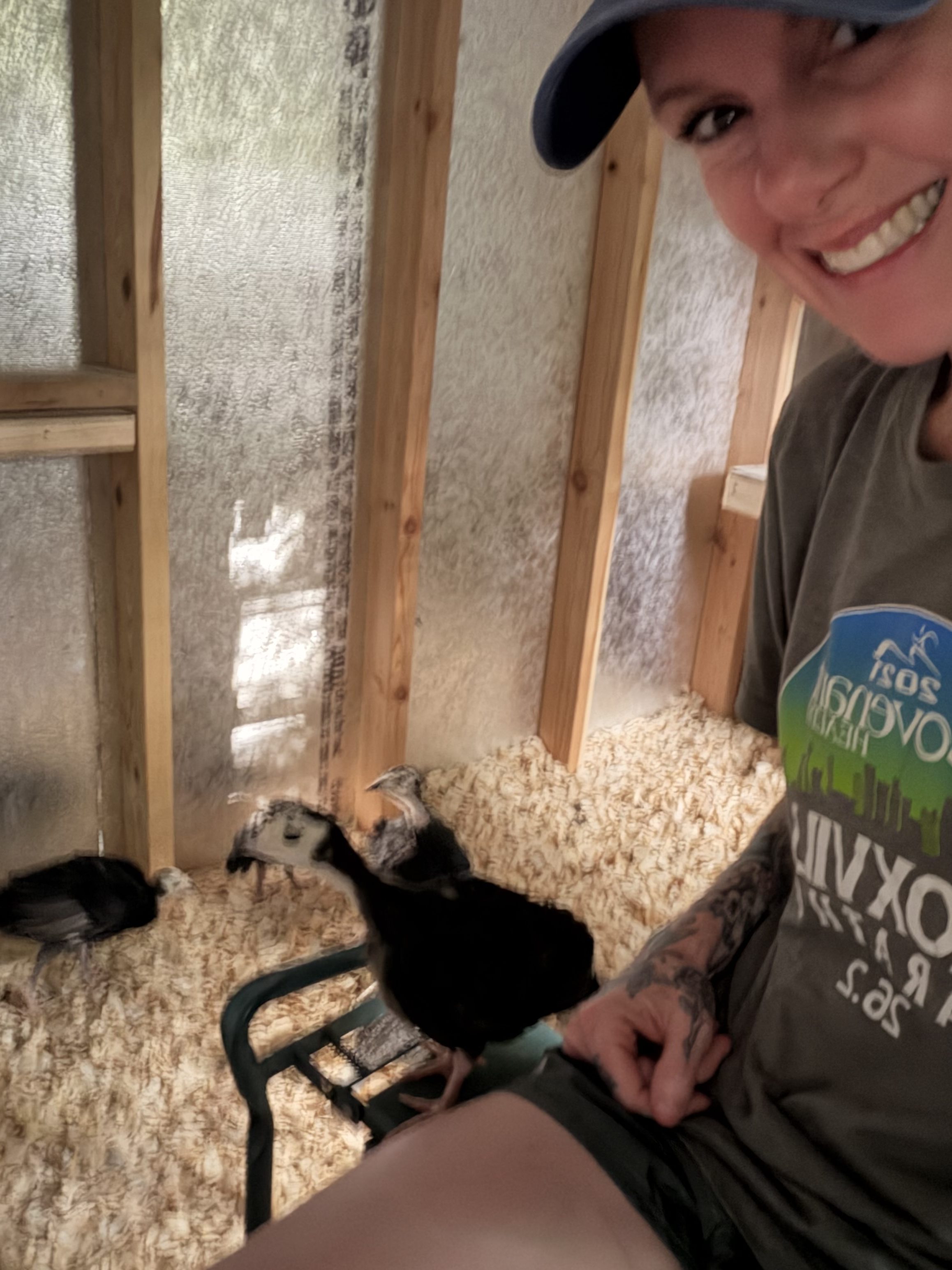Turkey Update: The Most Important Lesson We’ve Learned About Raising Narragansett Turkeys
