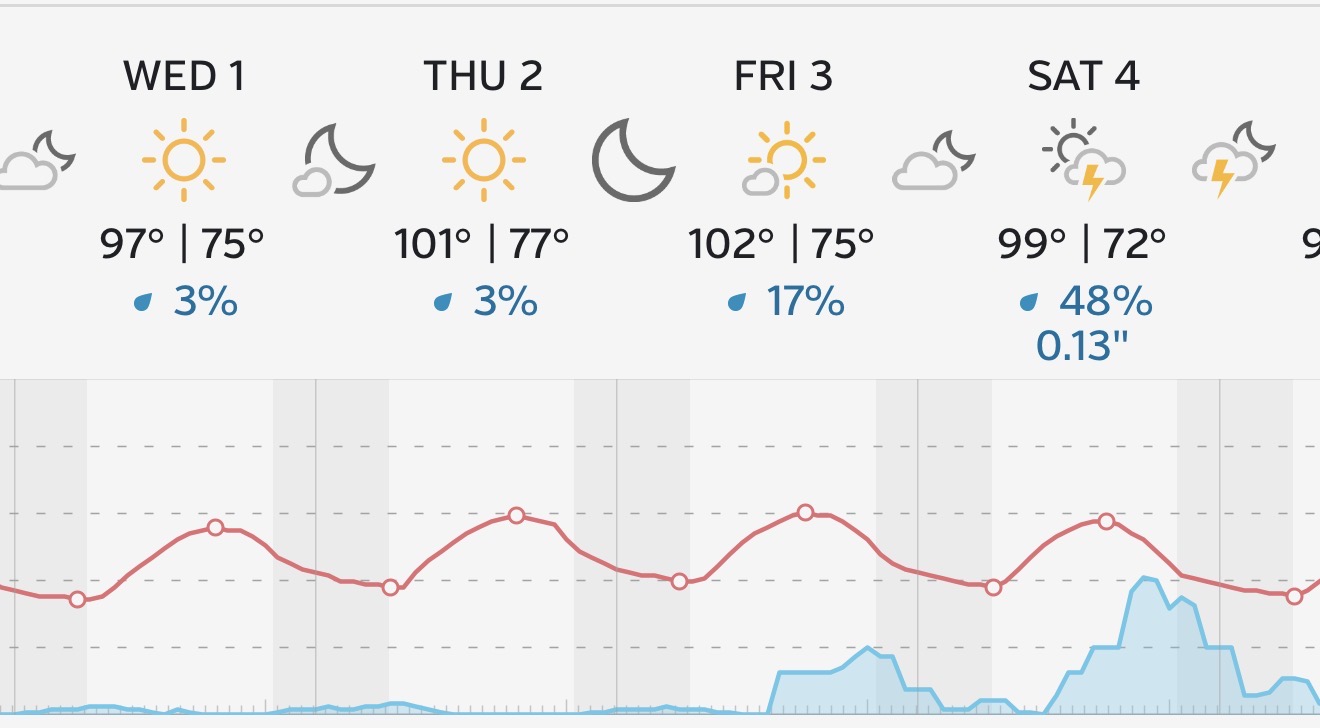 Surviving a Virginia Heatwave: How We Keep Our Homestead Healthy When Temperatures Climb Above 100°F