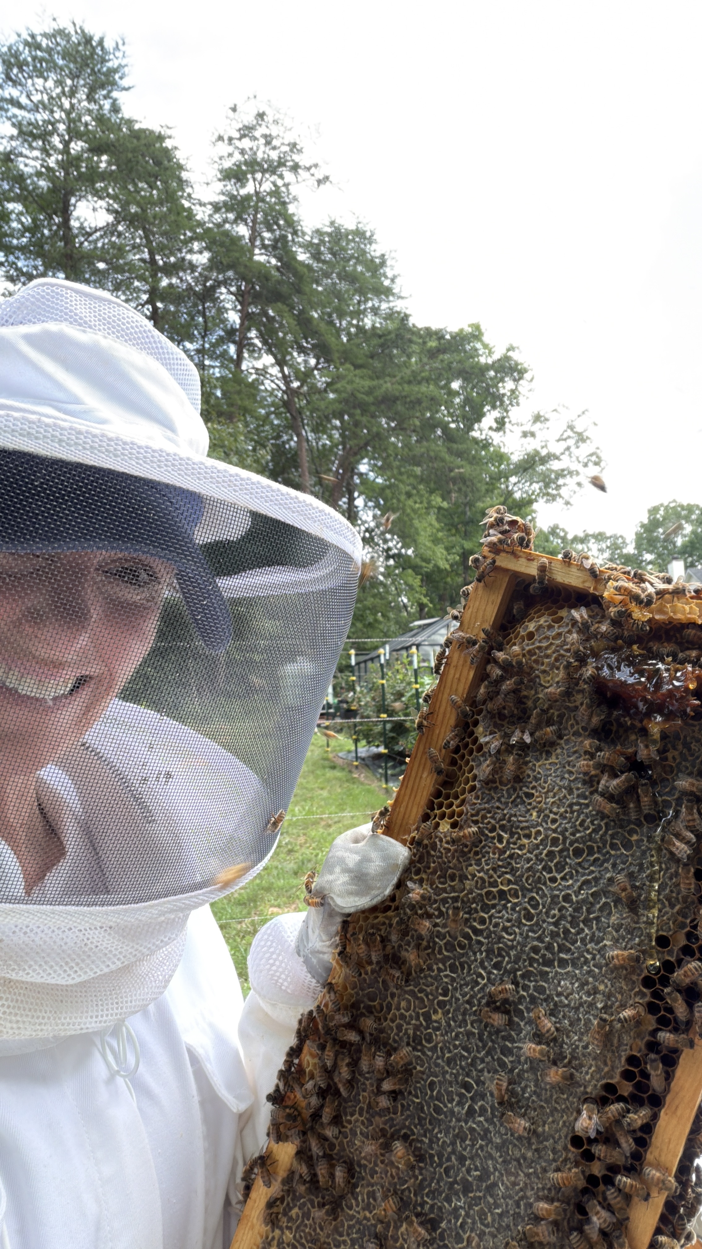 Honey Harvest Day at J & J Homestead: From Hive to Jar in One Busy Day