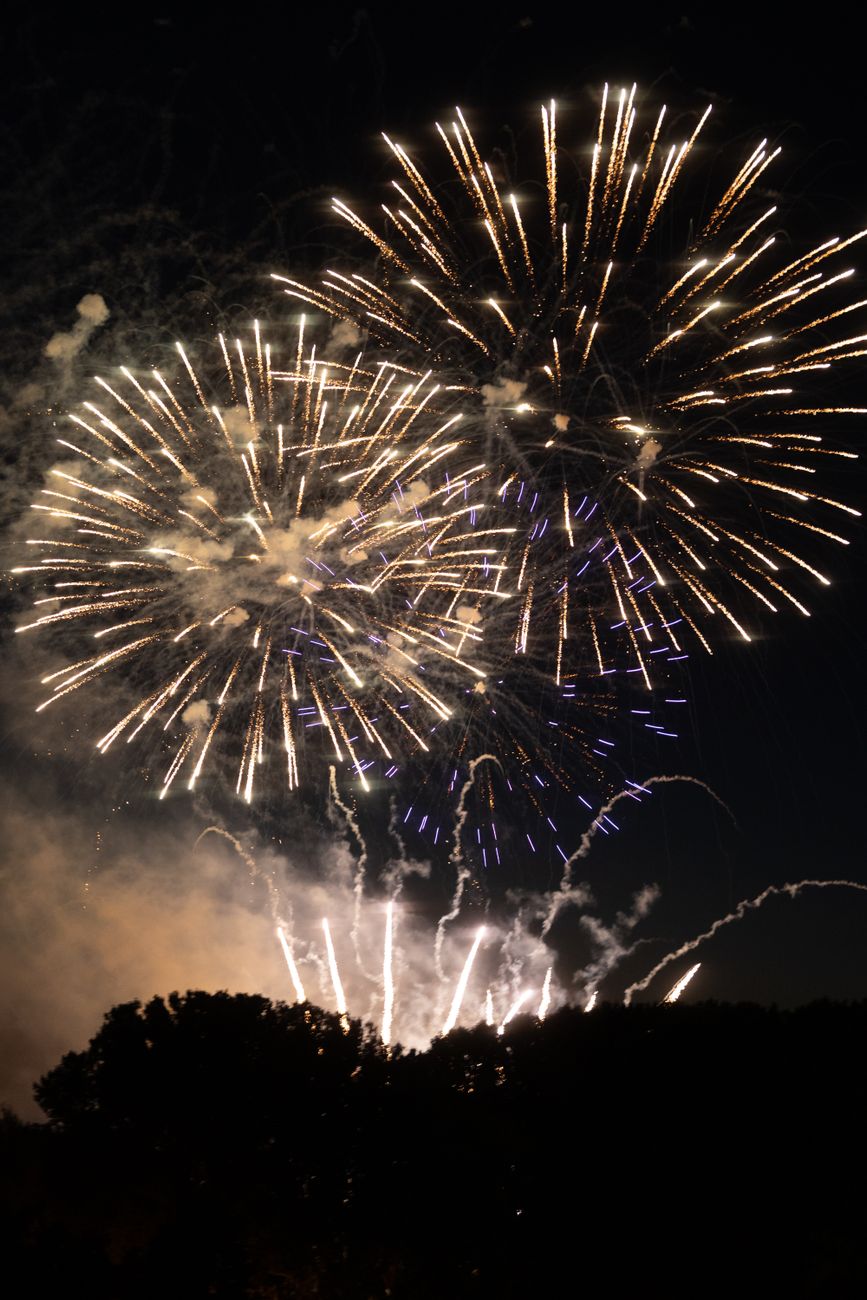 Are Chickens Afraid of Fireworks? How to Protect Your Flock During Fourth of July Celebrations