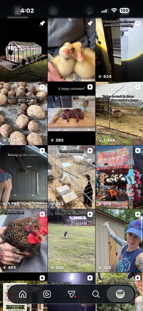 Why Instagram and Facebook Have Been One of the Best Parts of Our Homesteading Journey