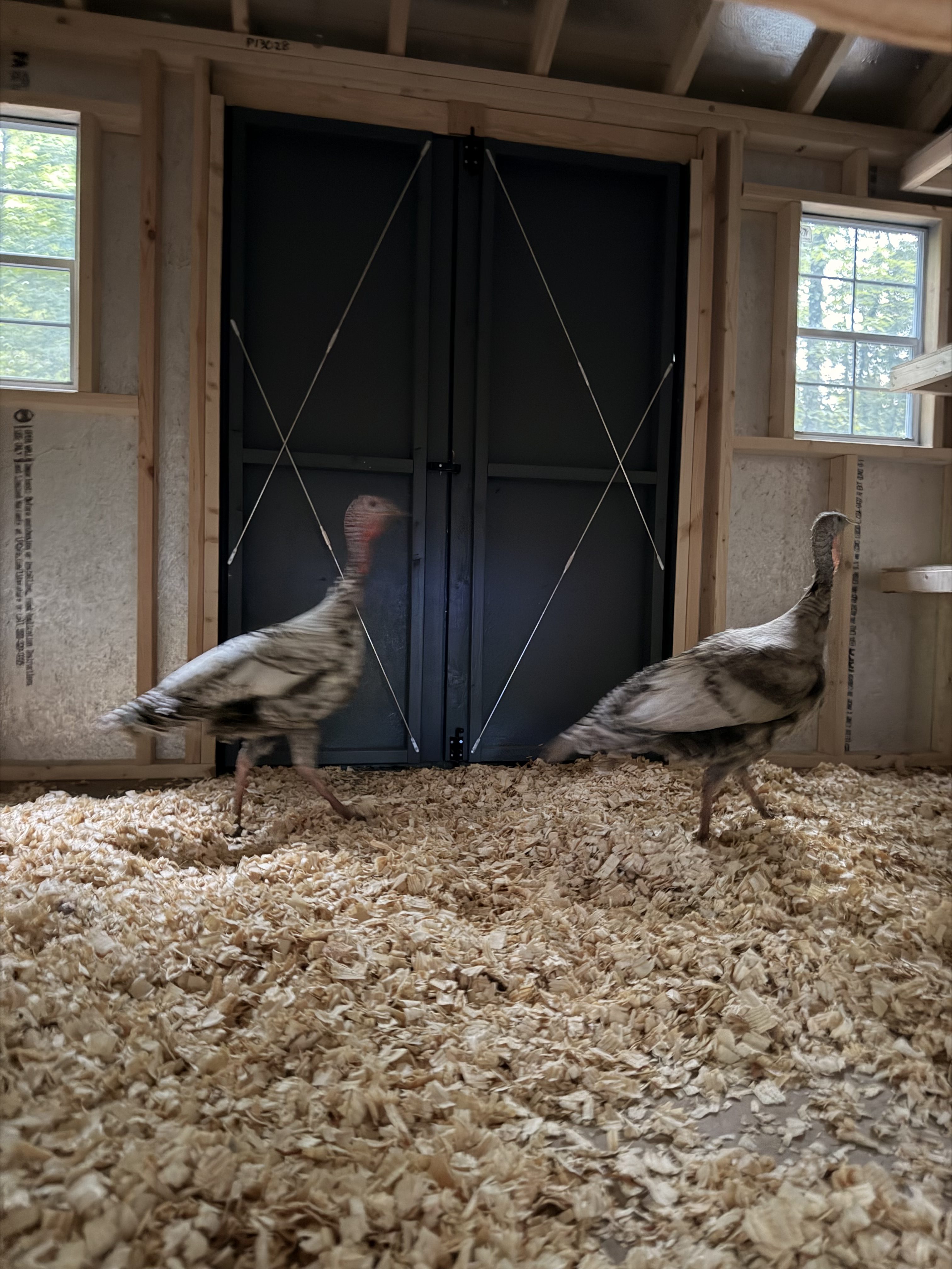 Getting the Chicken and Turkey Coops Ready for Fall and Winter: How We Prepare Our Flock for Cold Weather