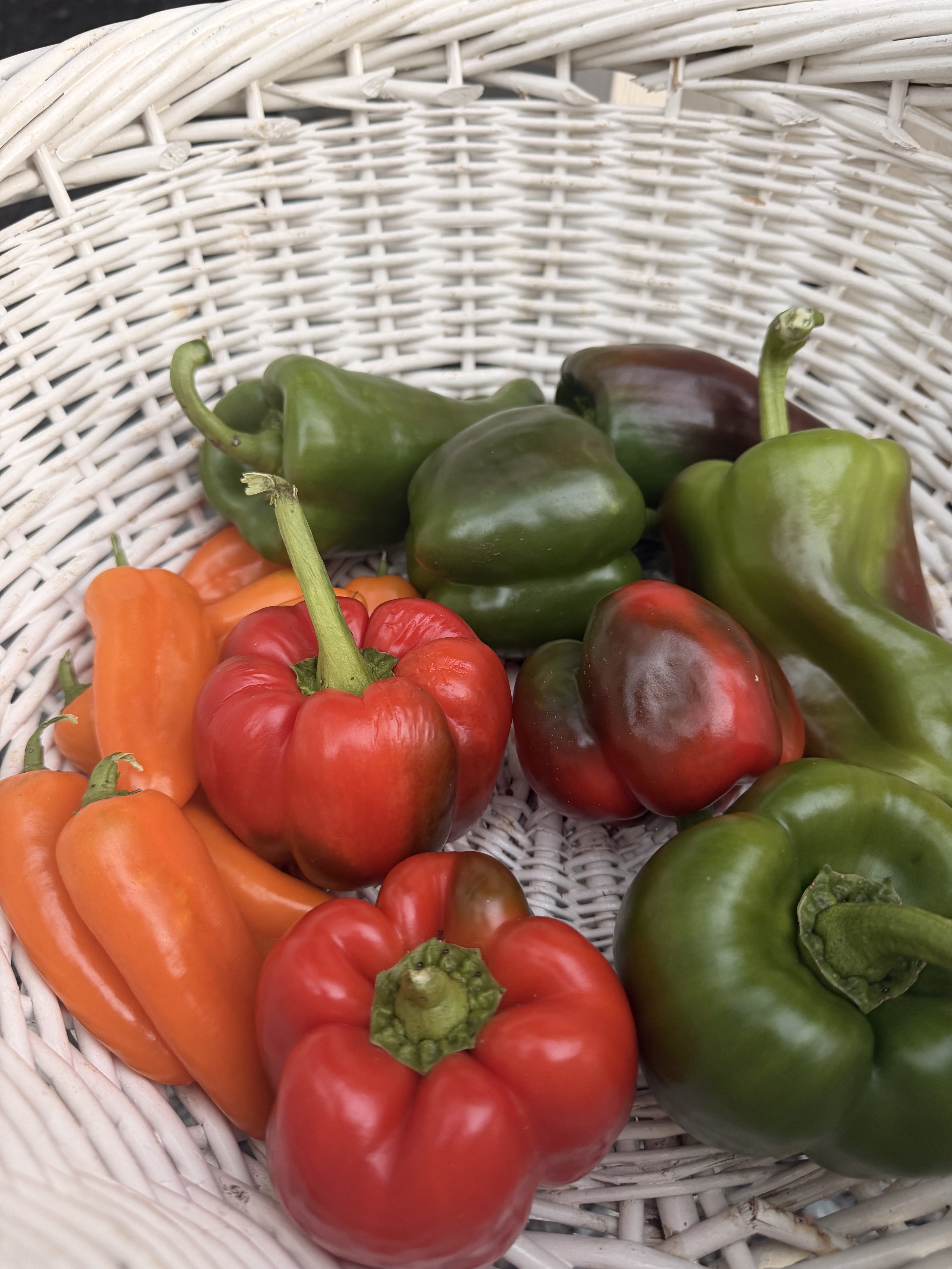September Garden Chores: Preparing the Homestead Garden for Fall